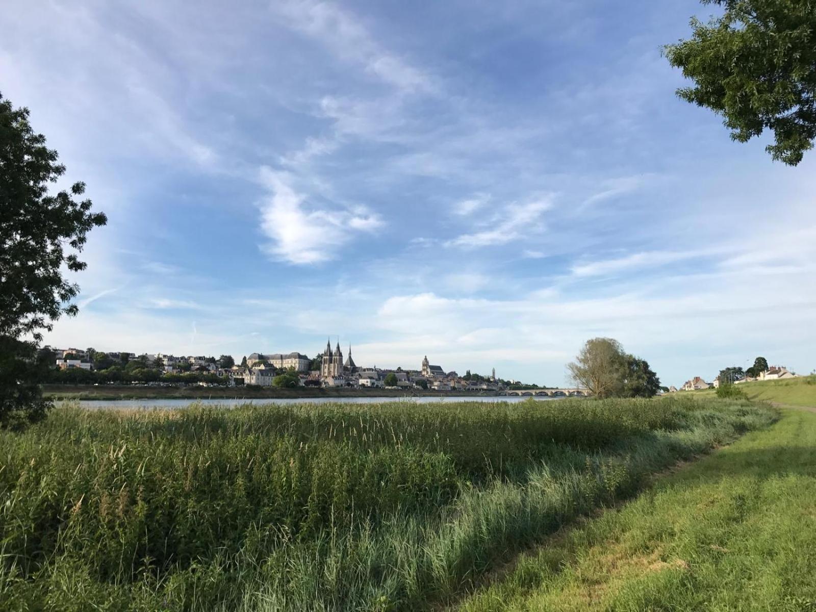 Quai De La Loire Apartment Блоа Екстериор снимка