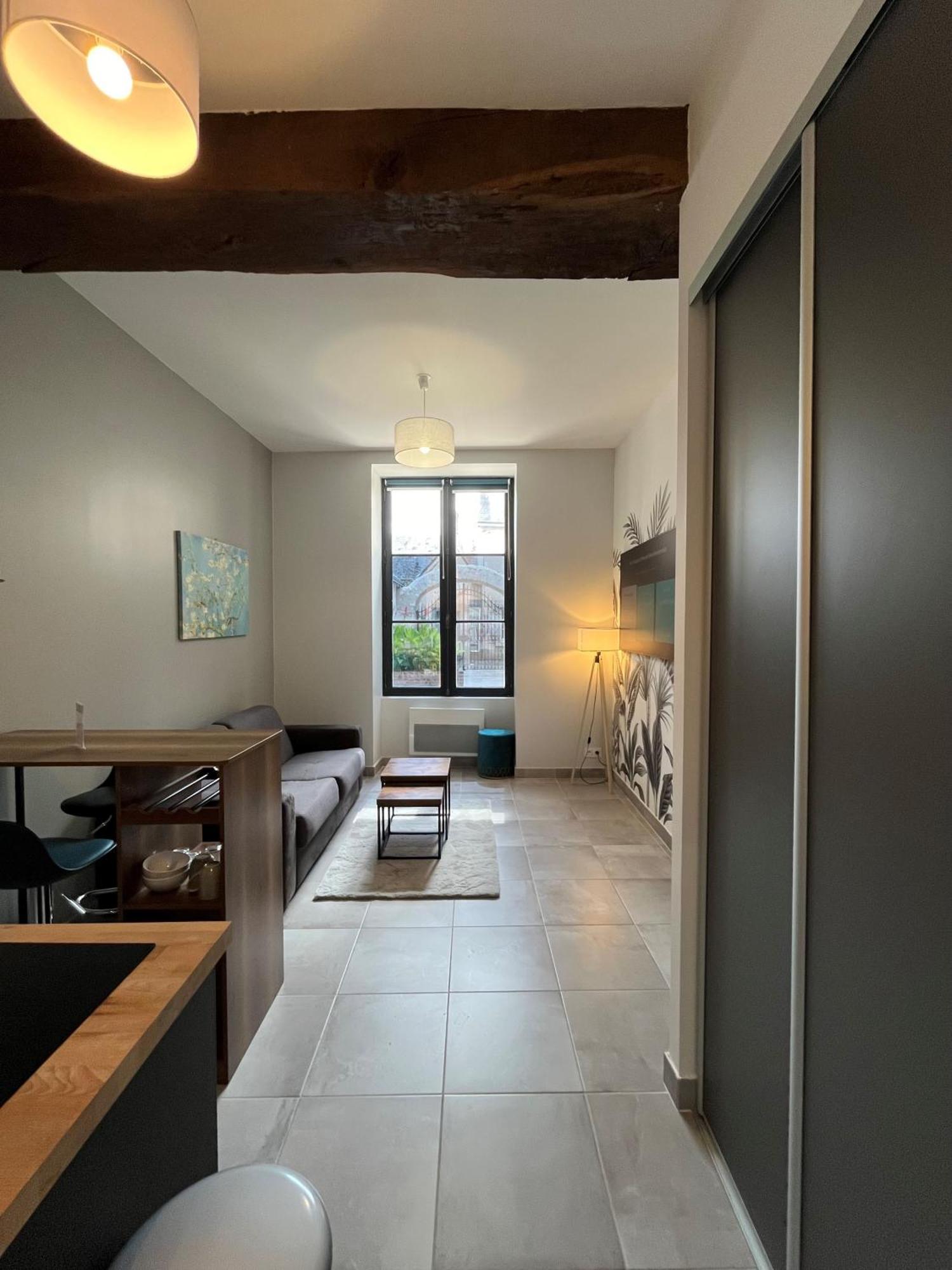 Quai De La Loire Apartment Блоа Екстериор снимка