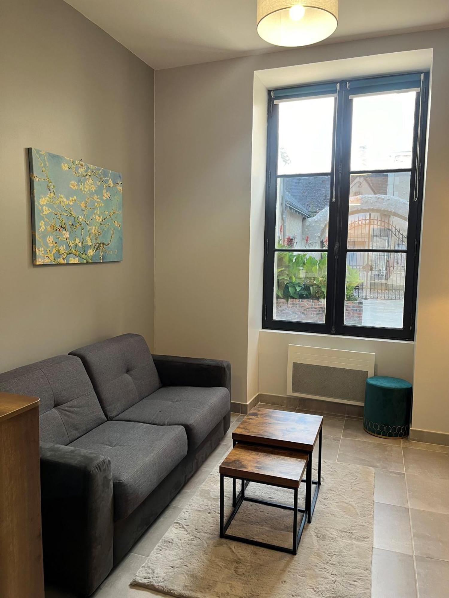 Quai De La Loire Apartment Блоа Екстериор снимка