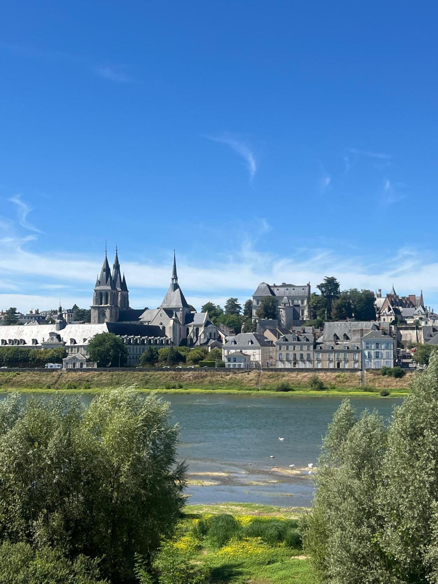 Quai De La Loire Apartment Блоа Екстериор снимка